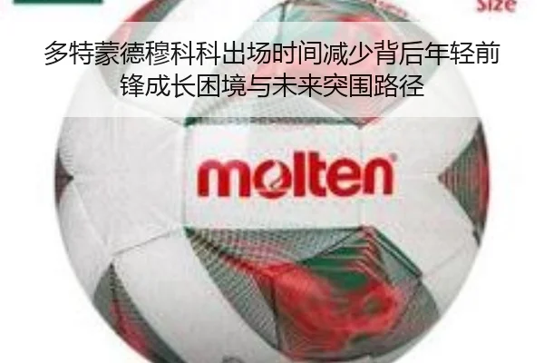 多特蒙德穆科科出场时间减少背后年轻前锋成长困境与未来突围路径