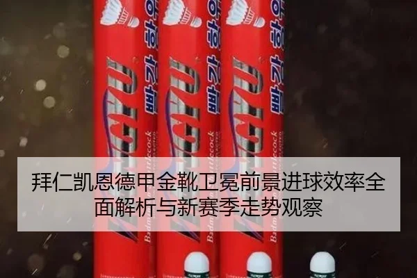 拜仁凯恩德甲金靴卫冕前景进球效率全面解析与新赛季走势观察
