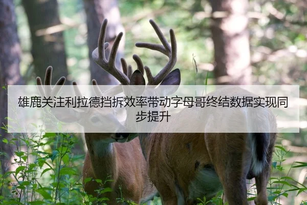雄鹿关注利拉德挡拆效率带动字母哥终结数据实现同步提升